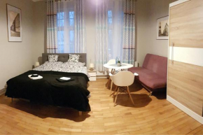 Czarna Owca- Pokoje Gościnne Gniezno